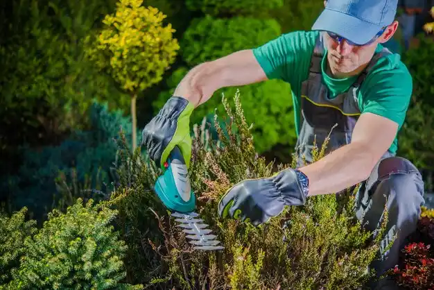 landscaping services Port Sulphur